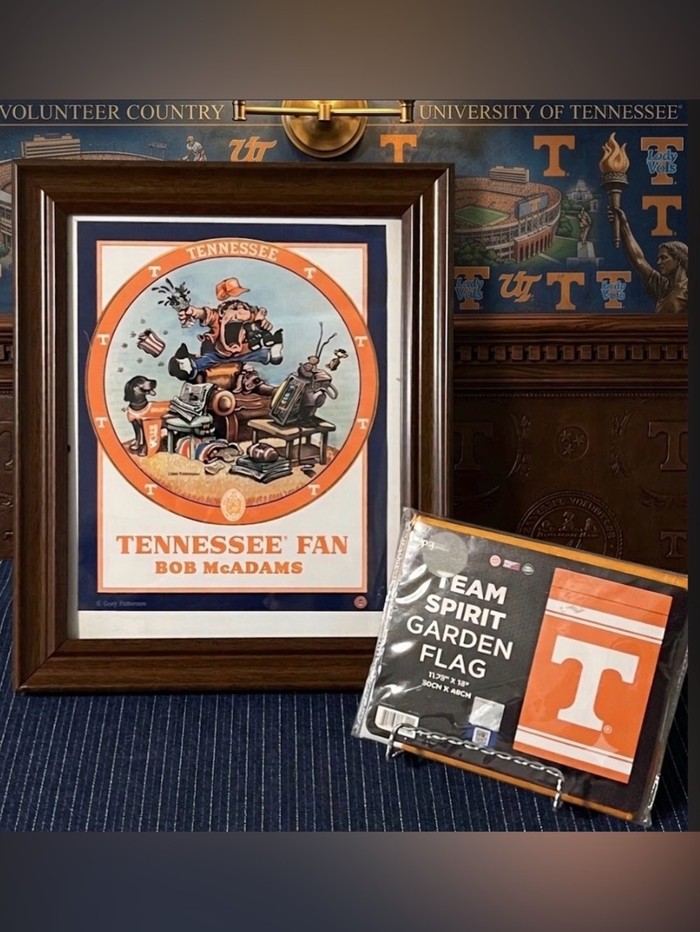 UT 🏈 University of Tennessee Fan Lot ~ Small Picture and Flag.